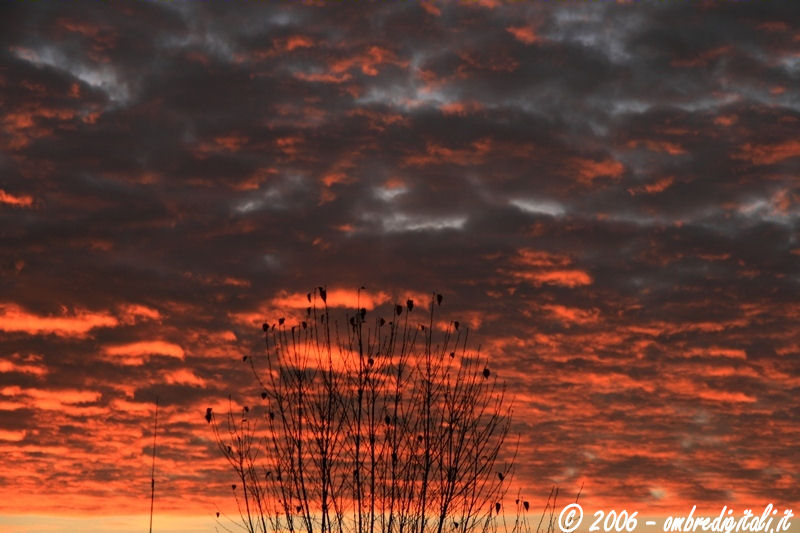 Cielo all'alba