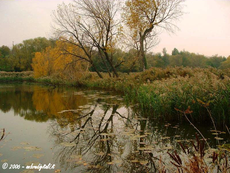 Torbiere del Sebino - Autunno